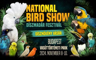 Madárfüttytől hangos dzsungel – National Bird Show 2024